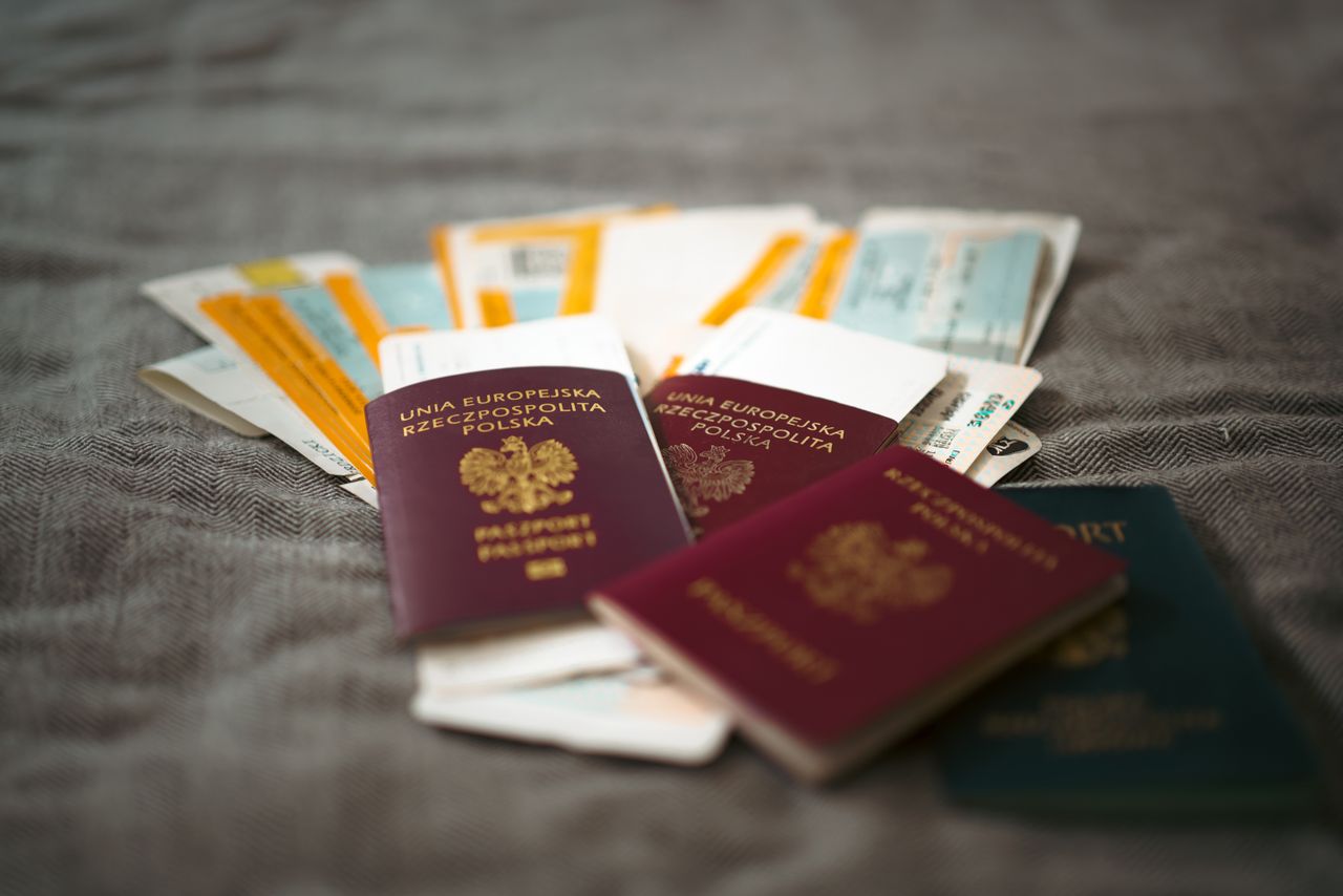 Can ICE Deport You If You Have a Pending VAWA, U Visa, or T Visa Application?
